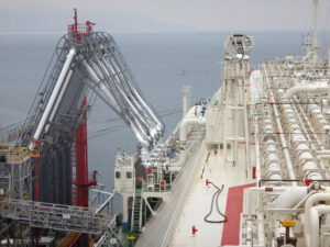 LPG - LNG Marine hoses
